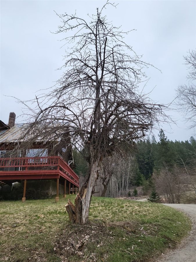 Landscaping & Outdoor project