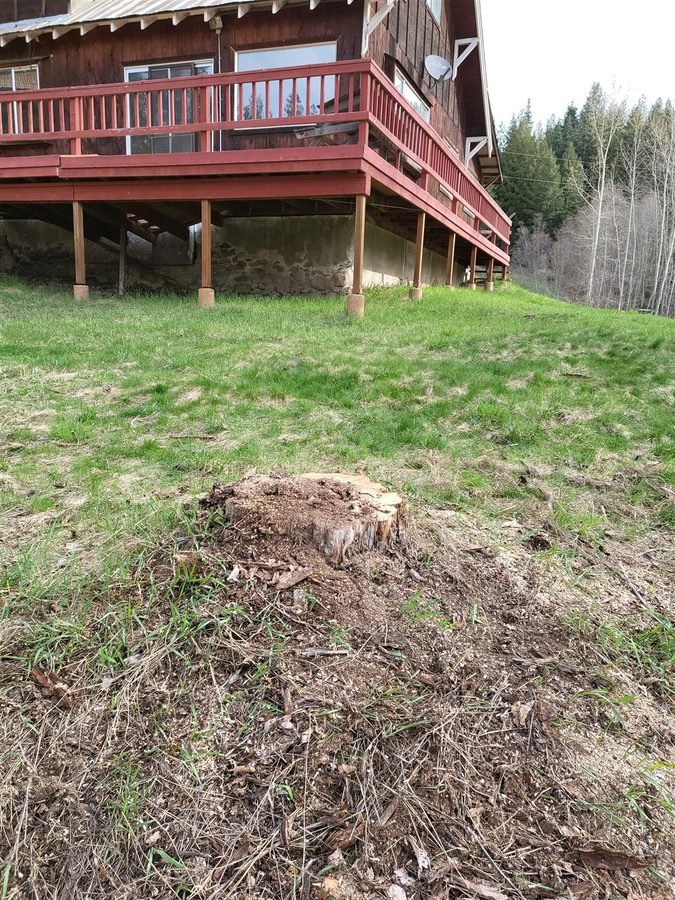 Landscaping & Outdoor project