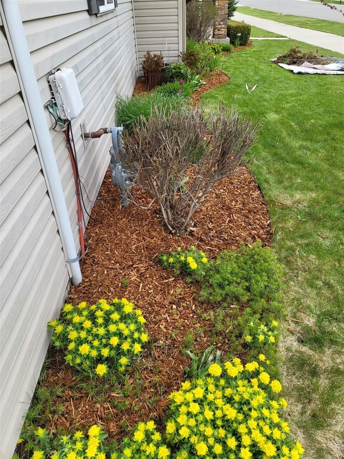 Landscaping & Outdoor project
