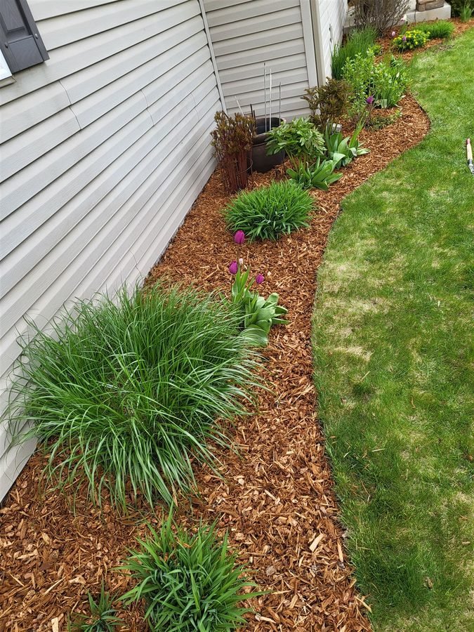 Landscaping & Outdoor project