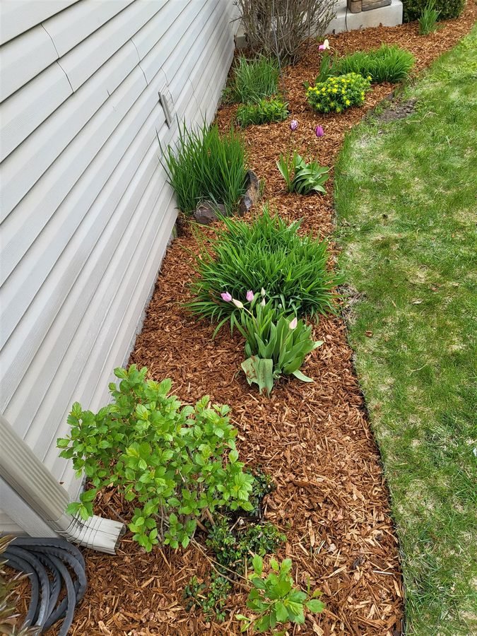 Landscaping & Outdoor project