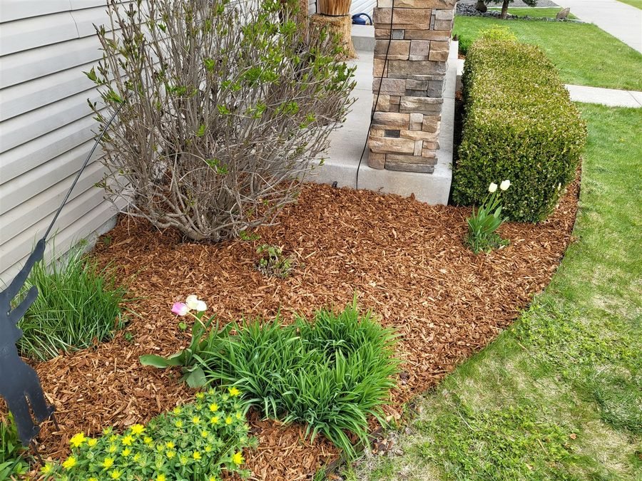 Landscaping & Outdoor project